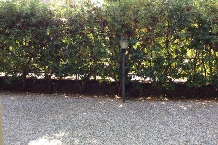 Residence Apuamare Pietrasanta Kültér fotó